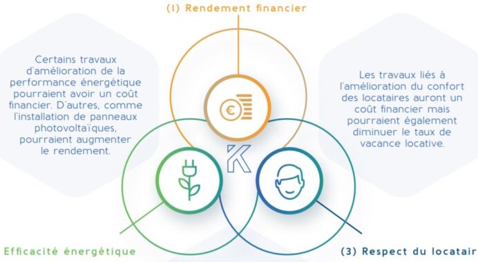 SCPI Kyaneos Pierre : cette jeune SCPI de rendement réalise une année 2019 exceptionnelle