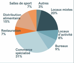 Repartition par secteur SCPI Epsilon 2024