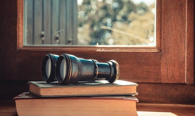 Fraudes et arnaques financières : l&rsquo;ACPR et l&rsquo;AMF ont ajouté 1 460 nouveaux sites internet en 2024