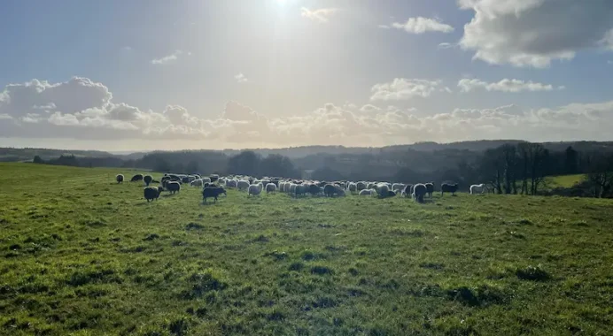Ferme En Vie : 19 M€ collectés en 2024 et 24 fermes agroécologiques nouvellements installées