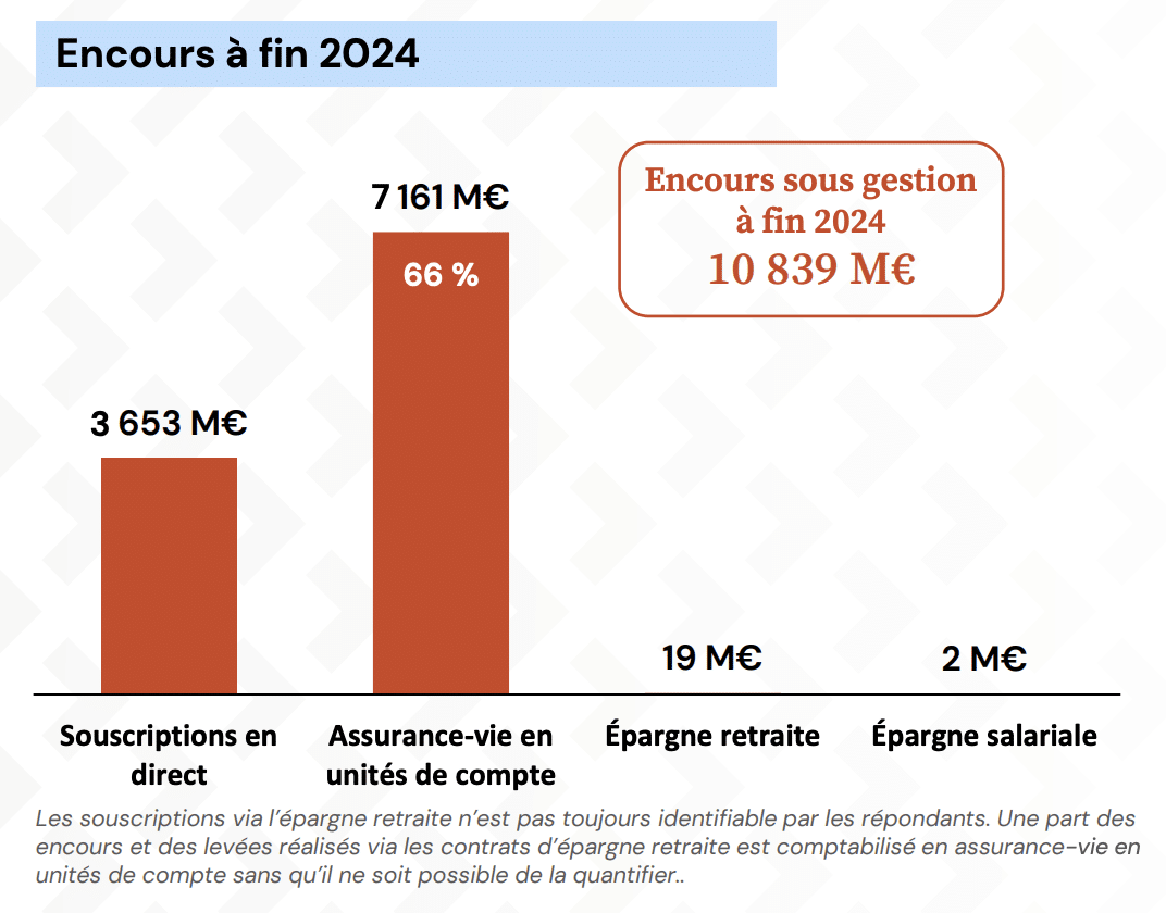 Private Equity encours à fin 2024 France Invest