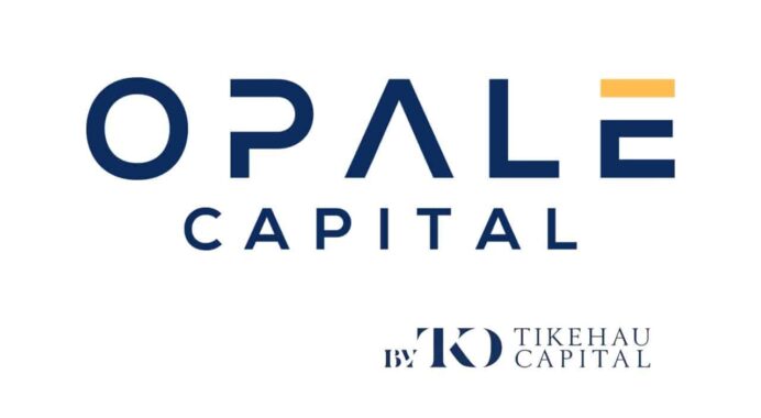 Opale Capital lance en 2025 un nouveau fonds de dette privée distribuant des coupons semestriels