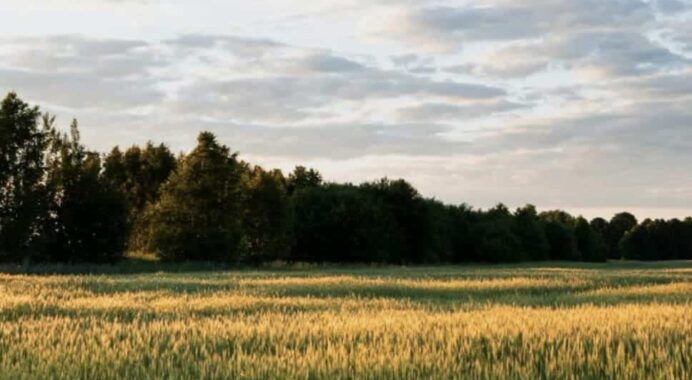 France Valley Agridurable I : investir dans la terre agricole en 2025 pour bénéficier d&rsquo;une réduction d&rsquo;impôt de 25%