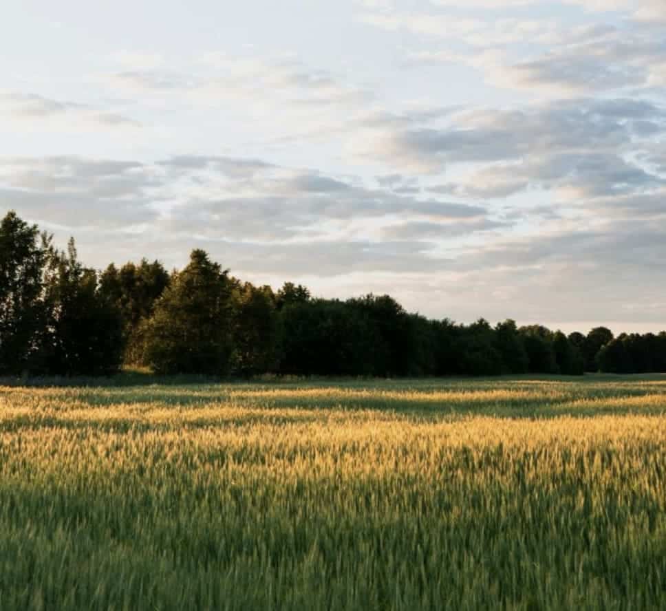 France Valley Agridurable I